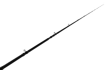 Amazon | AbuGarcia (アブガルシア) 黒船 アマダイ KADC-210M 船